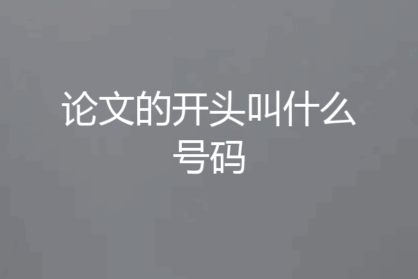 论文的开头叫什么号码