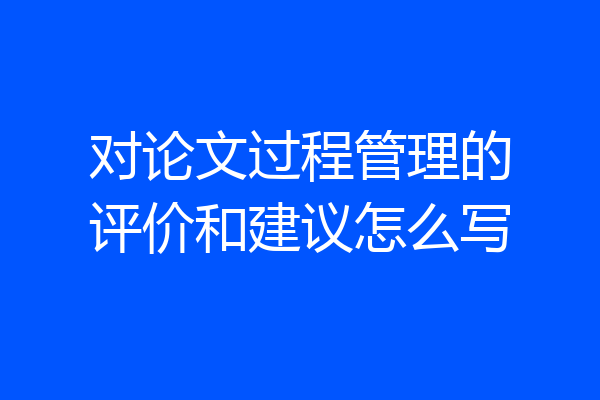 对论文过程管理的评价和建议怎么写
