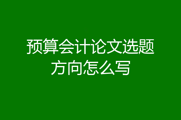 预算会计论文选题方向怎么写