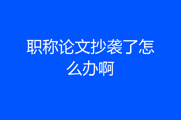 职称论文抄袭了怎么办啊