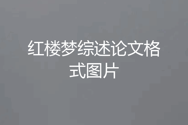 红楼梦综述论文格式图片