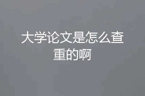 大学论文是怎么查重的啊