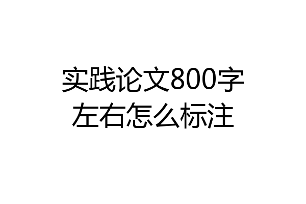 实践论文800字左右怎么标注