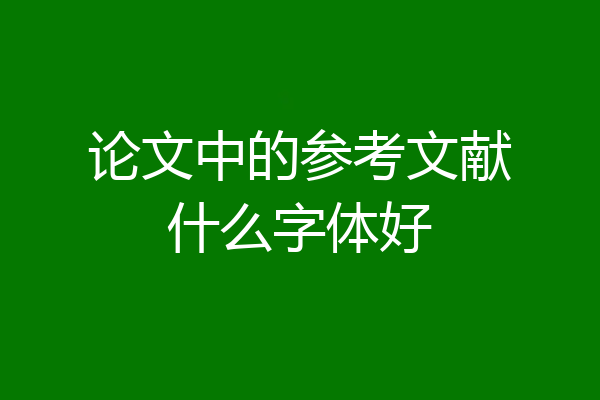 论文中的参考文献什么字体好