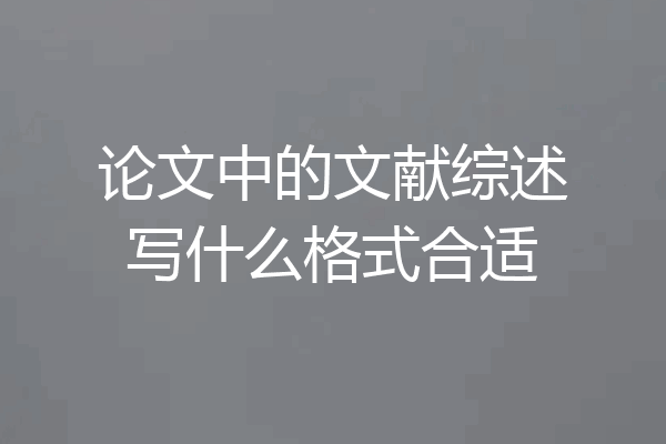论文中的文献综述写什么格式合适