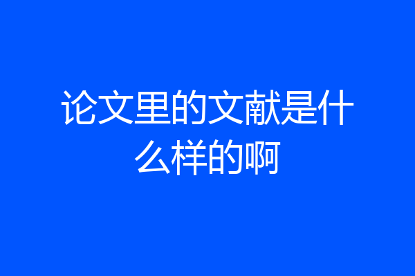 论文里的文献是什么样的啊