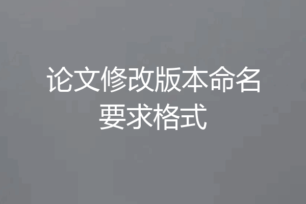 论文修改版本命名要求格式