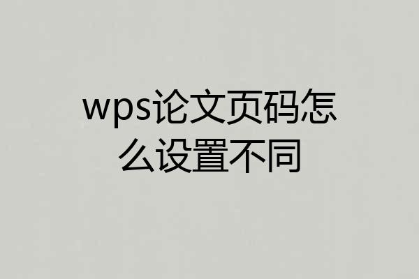 wps论文页码怎么设置不同