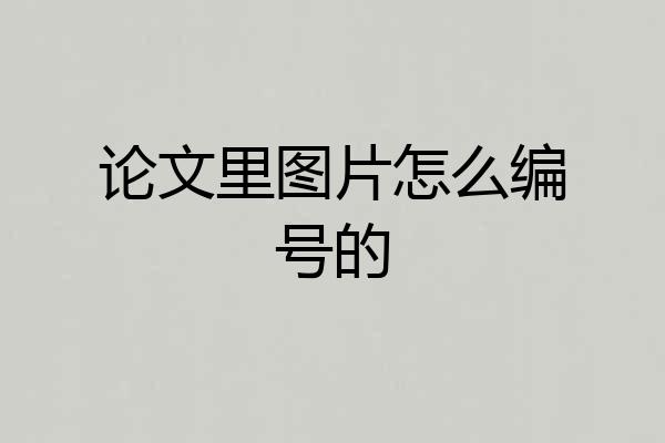 论文里图片怎么编号的