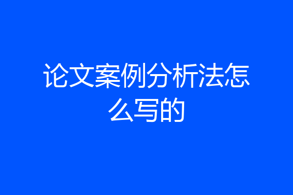 论文案例分析法怎么写的