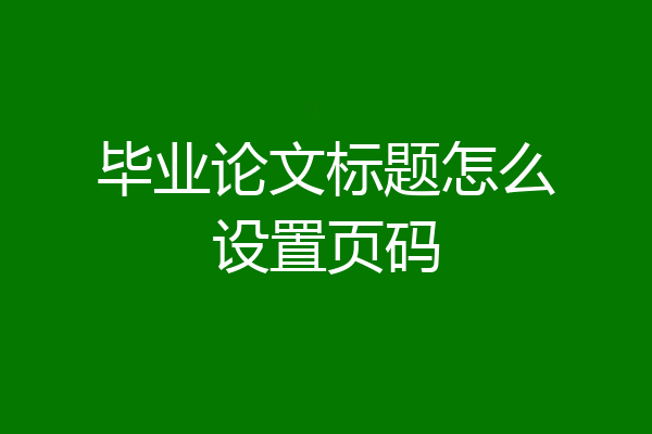 毕业论文标题怎么设置页码