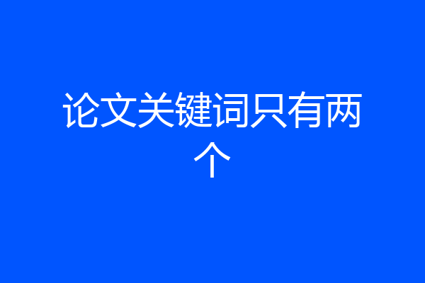 论文关键词只有两个