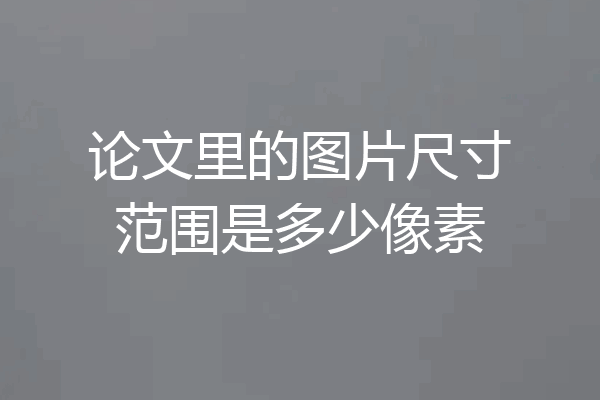 论文里的图片尺寸范围是多少像素