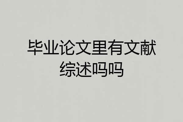 毕业论文里有文献综述吗吗