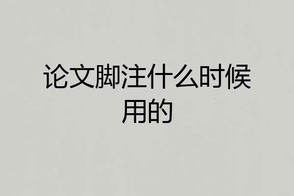 论文脚注什么时候用的