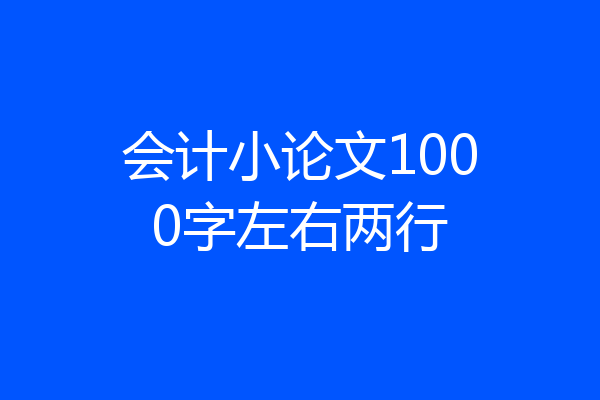 会计小论文1000字左右两行