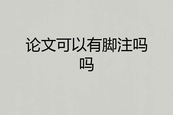 论文可以有脚注吗吗
