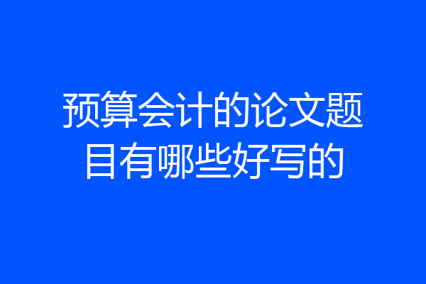 预算会计的论文题目有哪些好写的