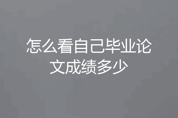 怎么看自己毕业论文成绩多少