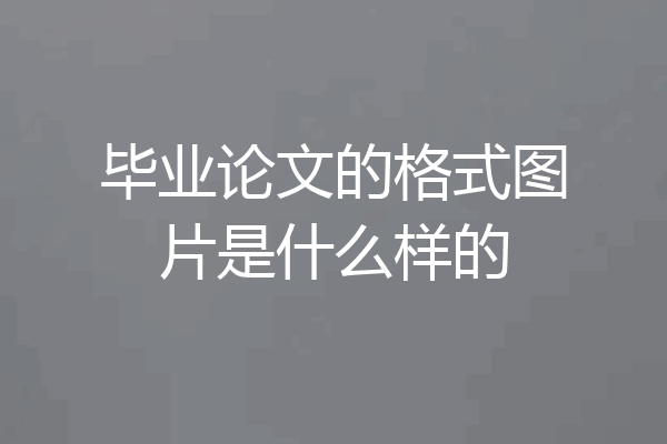 毕业论文的格式图片是什么样的
