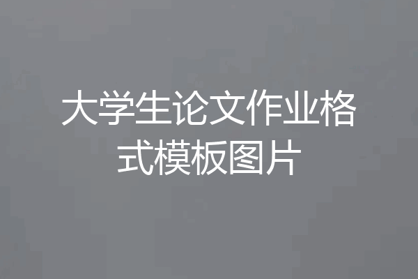 大学生论文作业格式模板图片
