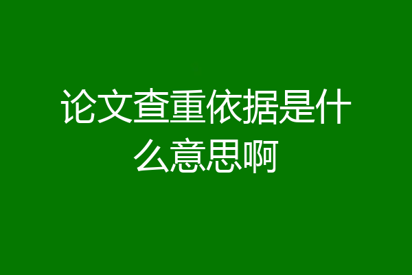 论文查重依据是什么意思啊