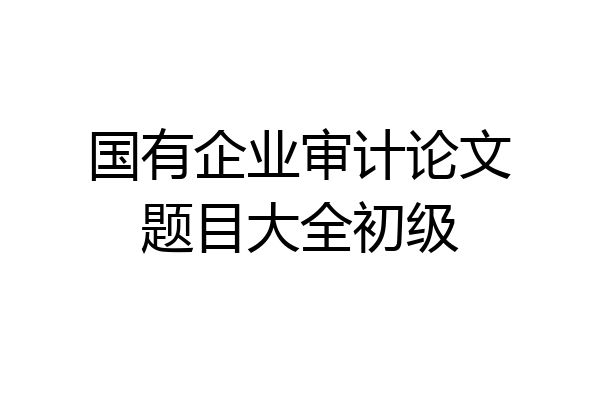 国有企业审计论文题目大全初级
