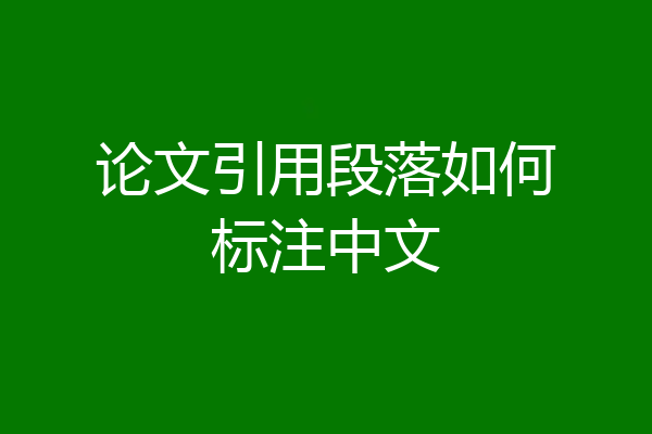 论文引用段落如何标注中文