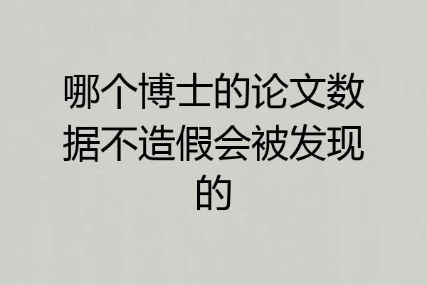 哪个博士的论文数据不造假会被发现的