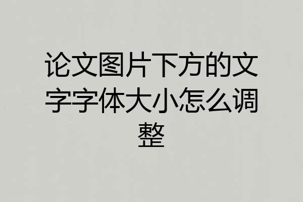 论文图片下方的文字字体大小怎么调整