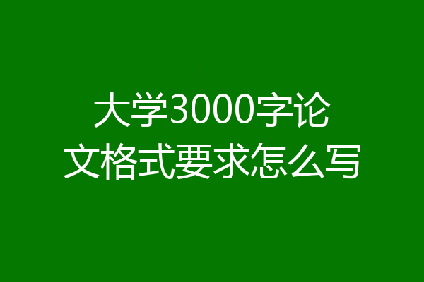 大学3000字论文格式要求怎么写