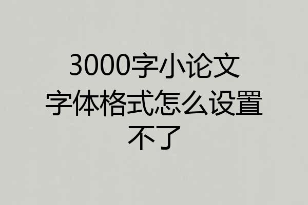 3000字小论文字体格式怎么设置不了