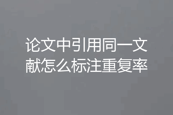 论文中引用同一文献怎么标注重复率