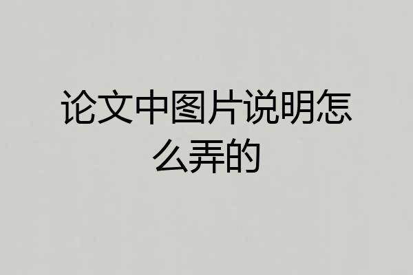 论文中图片说明怎么弄的