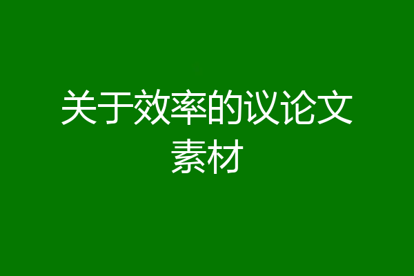 关于效率的议论文素材