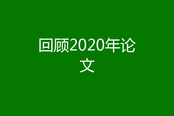 回顾2020年论文