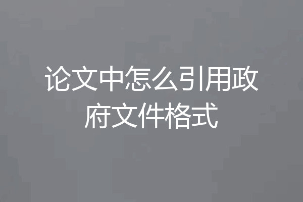 论文中怎么引用政府文件格式