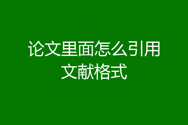 论文里面怎么引用文献格式