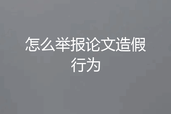 怎么举报论文造假行为
