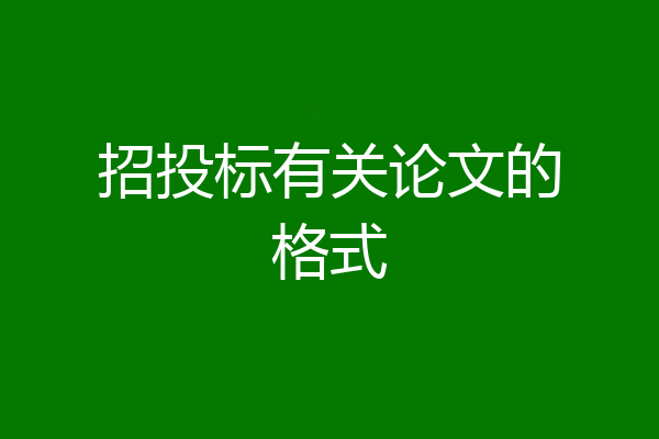 招投标有关论文的格式
