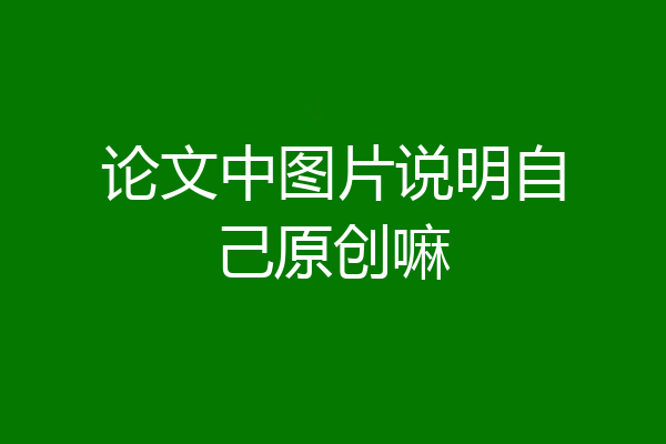 论文中图片说明自己原创嘛