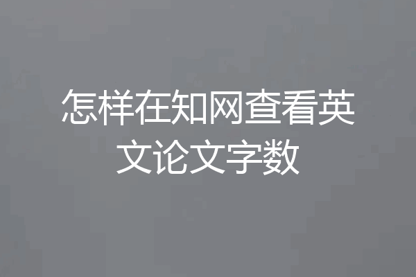怎样在知网查看英文论文字数