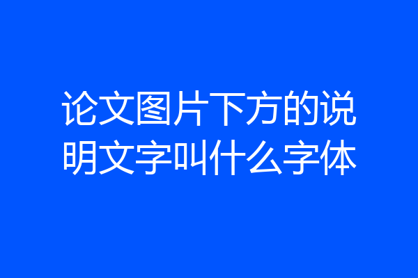 论文图片下方的说明文字叫什么字体