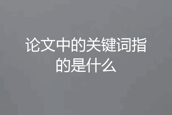 论文中的关键词指的是什么