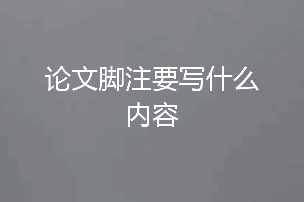 论文脚注要写什么内容