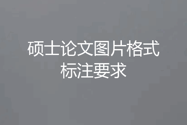 硕士论文图片格式标注要求