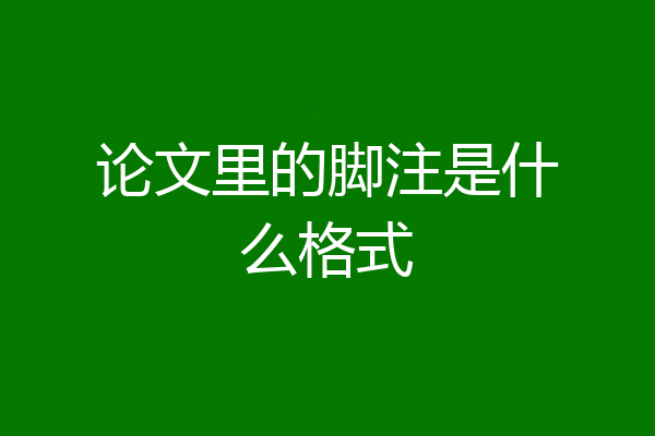 论文里的脚注是什么格式