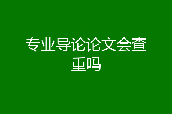 专业导论论文会查重吗