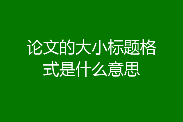 论文的大小标题格式是什么意思