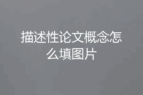 描述性论文概念怎么填图片
